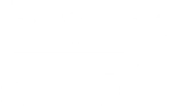 Brains on Silicon Logo in Weiß