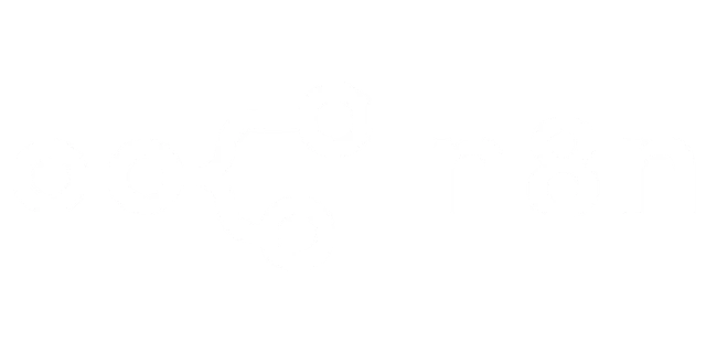 n8n